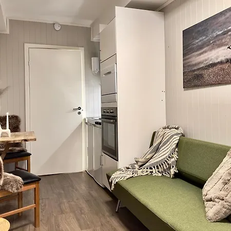 Studio Apartment Tomasjorda Exterior photo
